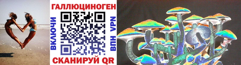 Псилоцибиновые грибы Psilocybine cubensis  kraken ссылки  Алзамай 